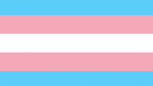 Transgender Flag used to represent pride, diversity, rights and/or remembrance with the transgender community
